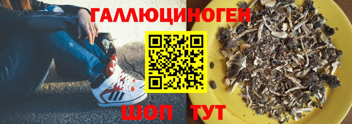 Галлюциногенные грибы ЛСД Стрежевой