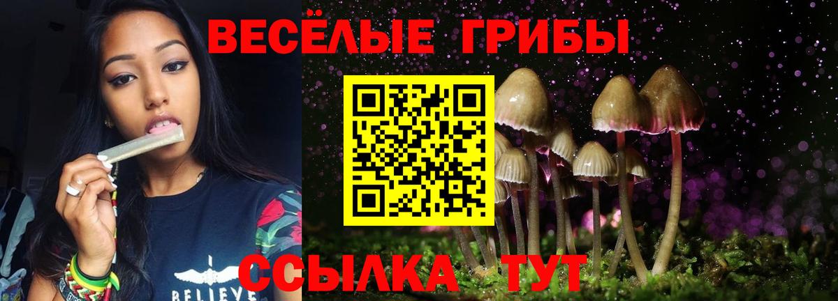 Псилоцибиновые грибы ЛСД  Вход с VPN  купить наркотик  Стрежевой 